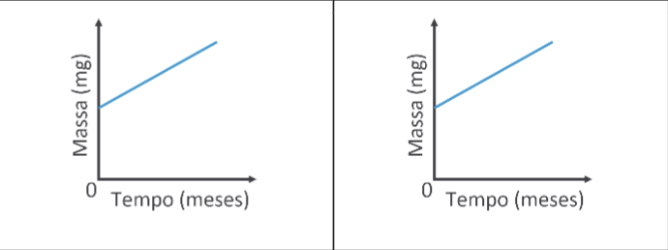 Screenshot 2025-06-27 at 13.10.20.png